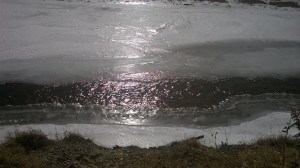 WP_20150214_11_43_28_Pro