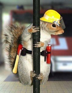 a7c6c066b57f80cf231250f047f7dbc7