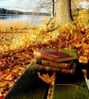 weird-books-fall-reading-300x336